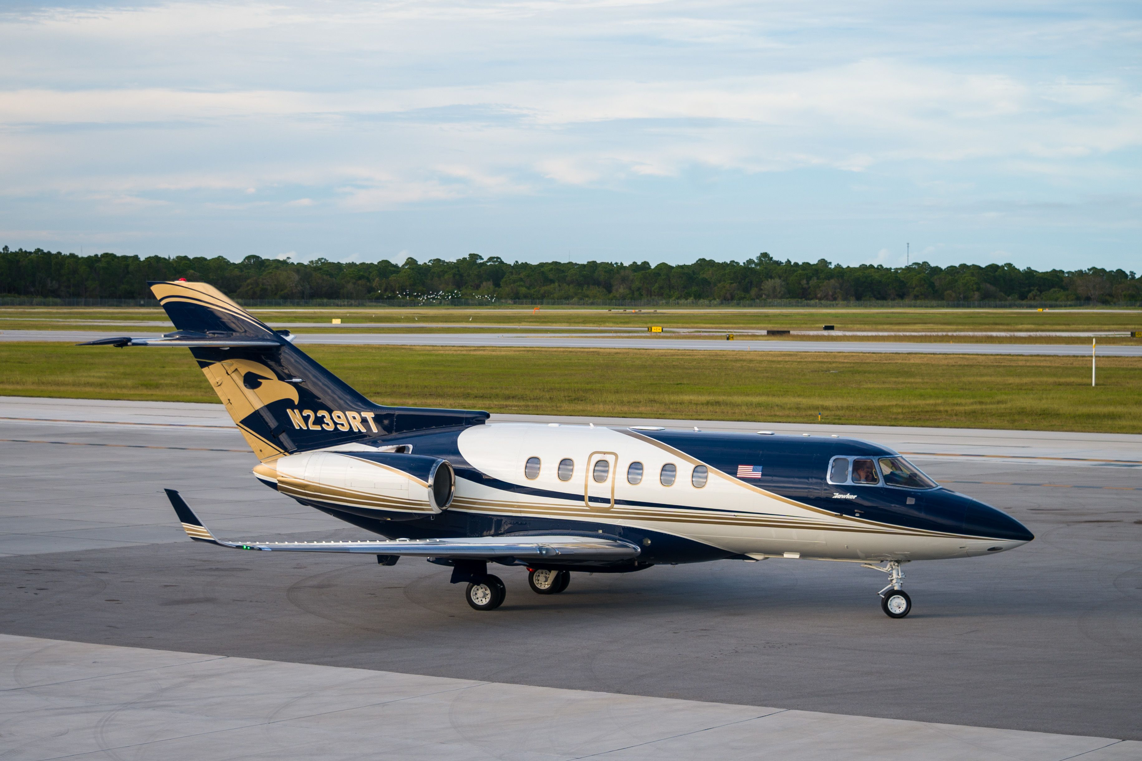 Hawker 800 (N239RT)