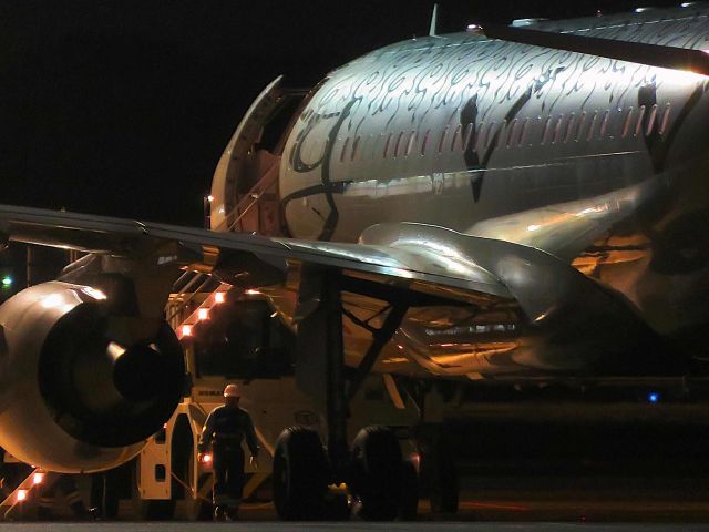 Airbus A319 (LX-GVV) - I took this picture on Apr 09, 2017.