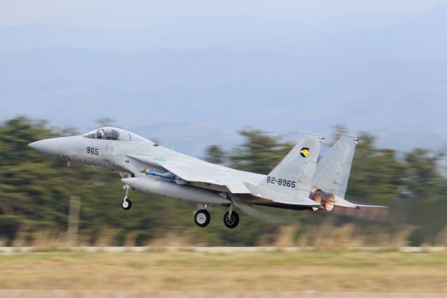 McDonnell Douglas F-15 Eagle (82-8965)