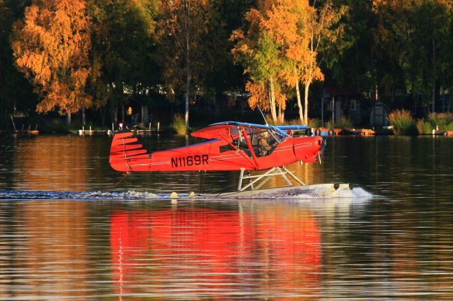 Piper L-21 Super Cub (N1169R)