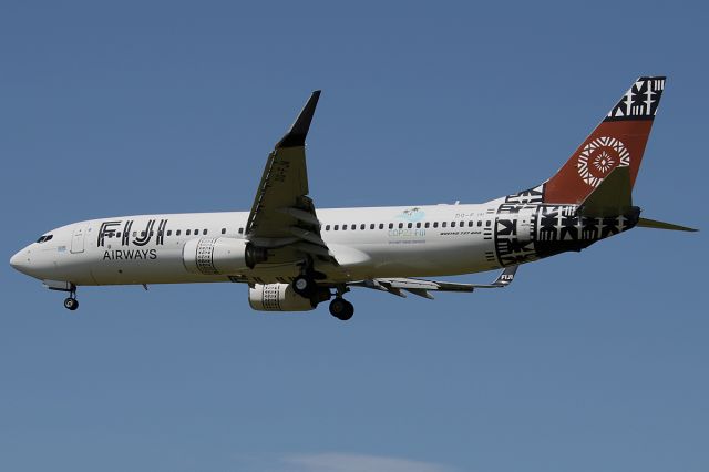 Boeing 737-800 (DQ-FJN) - on 31 January 2019