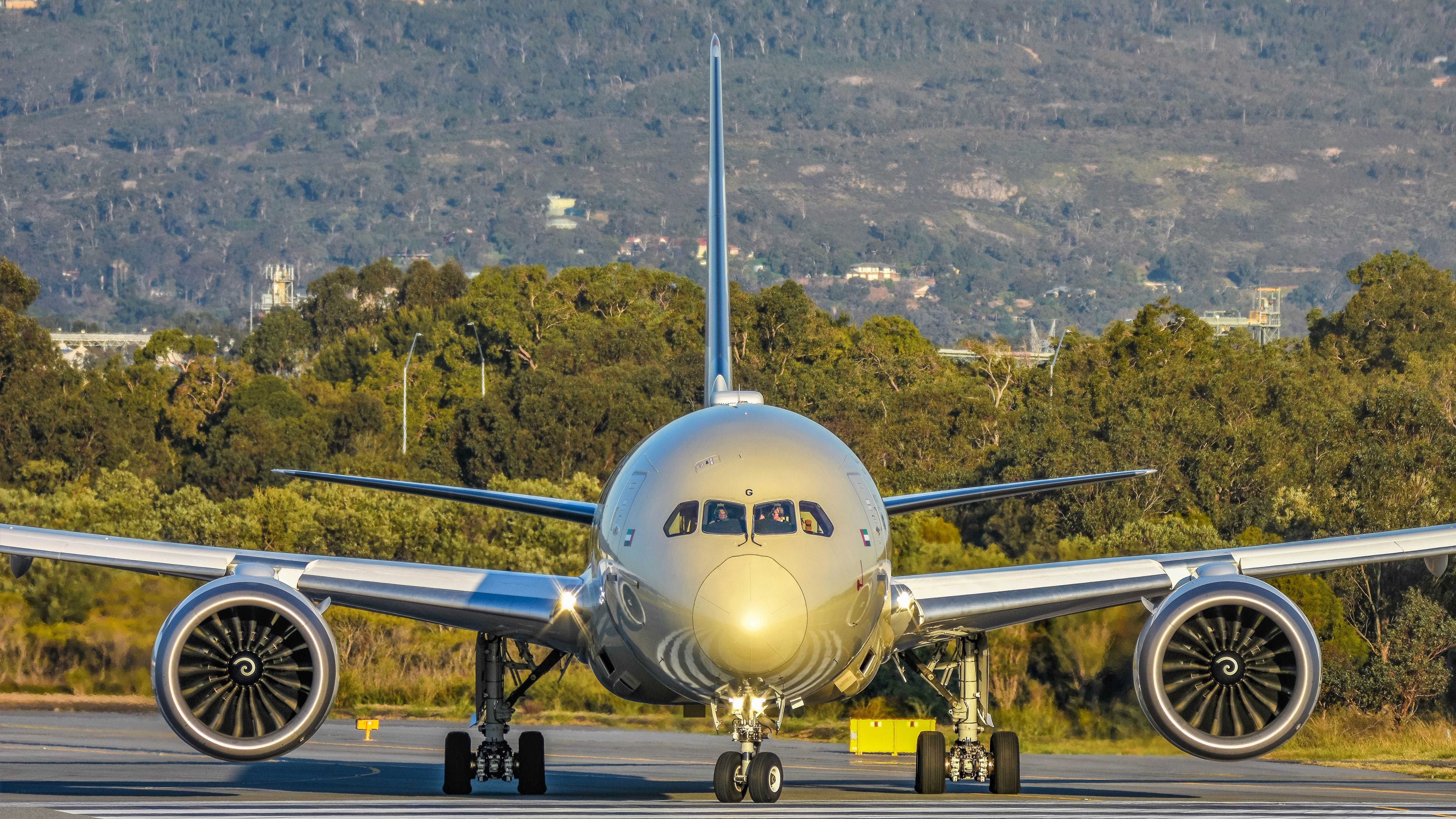 Boeing 787-9 Dreamliner (A6-BLG)