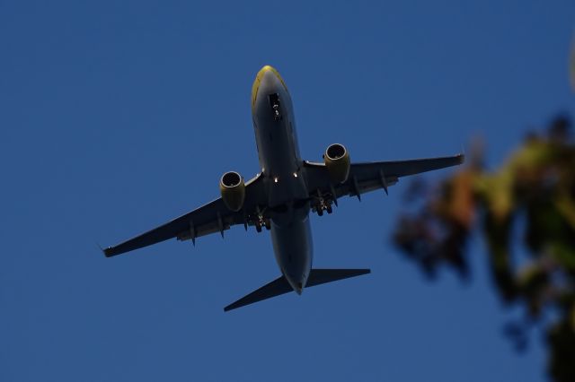 Boeing 737-800 (D-AHFY)