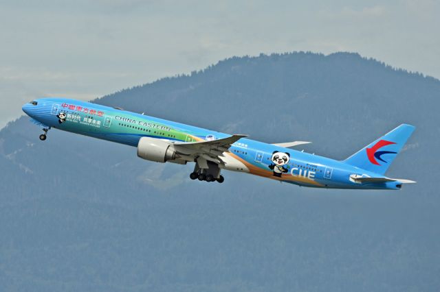 BOEING 777-300ER (B-2002)