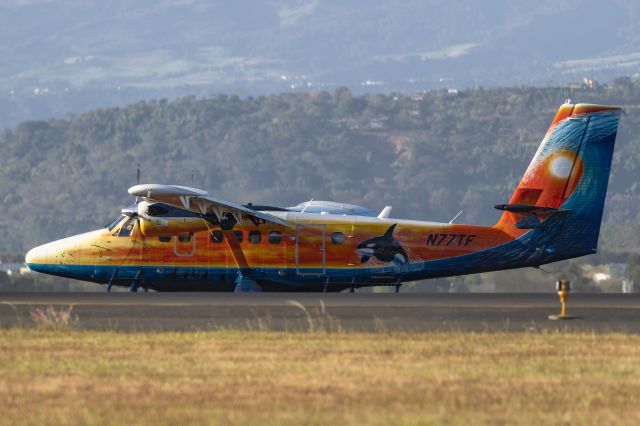 De Havilland Canada Twin Otter (N77TF) - A beauty...always is a pleasure to see this airplane