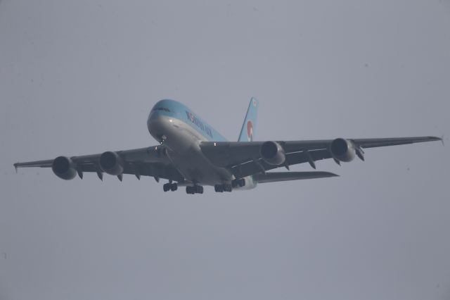 Airbus A380-800 (HL7614)