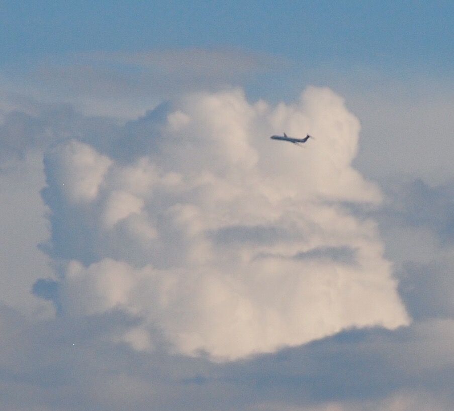 McDonnell Douglas MD-88 (N910DL)