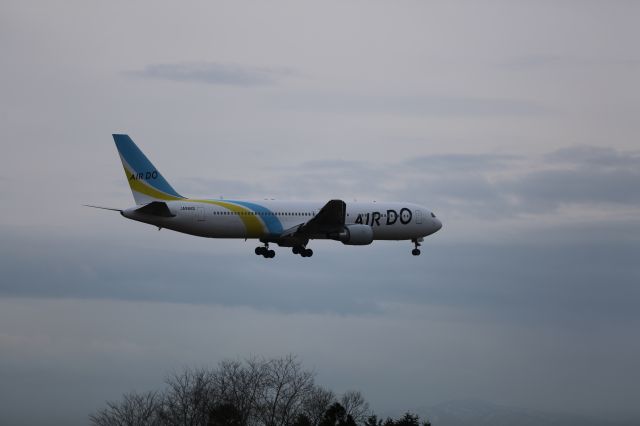 BOEING 767-300 (JA98AD) - 21 December 2015:HND-HKD.