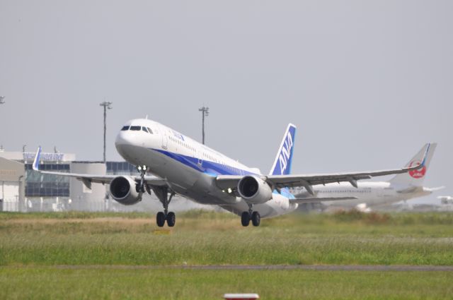 Airbus A321 (JA113A)