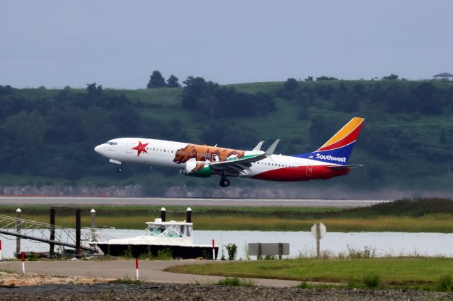 Boeing 737-800 (N8643A) - California One