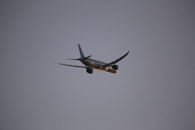 BOEING 787-10 Dreamliner (N12010)