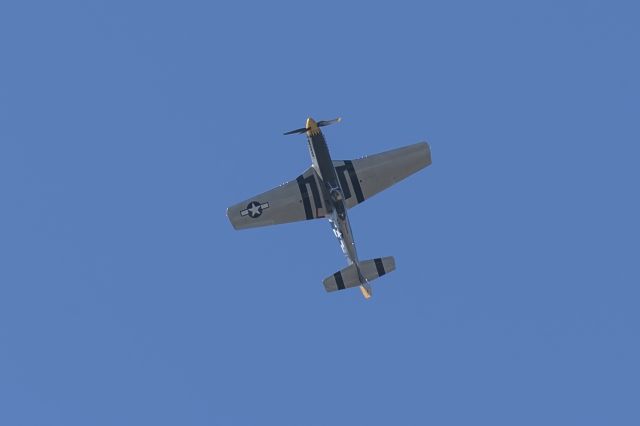 North American P-51 Mustang (N251CS)