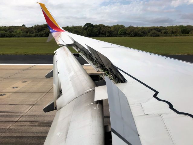 Boeing 737-800 (N8579Z) - Rolling out on 1L from BWI as WN901