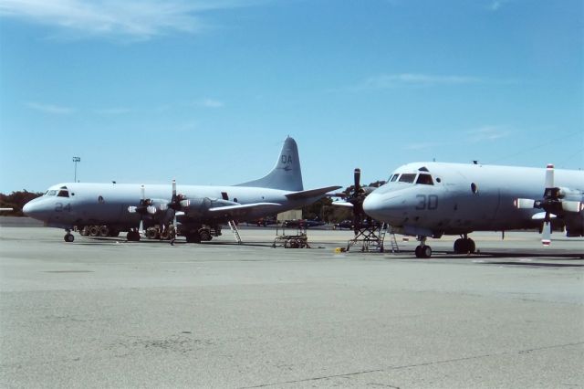 QA024 — - USA NAVY - LOCKHEED P-3C ORION - REG : QA-024 - EDINBURGH ADELAIDE SA. AUSTRALIA - YPED (7/11/1992)