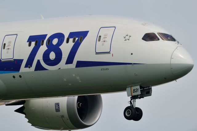 Boeing 787-8 (JA821A)