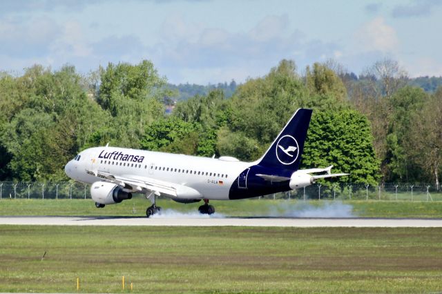 Airbus A319 (D-AILW)