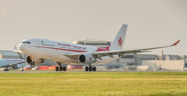 Airbus A330-200 (7T-VJY)