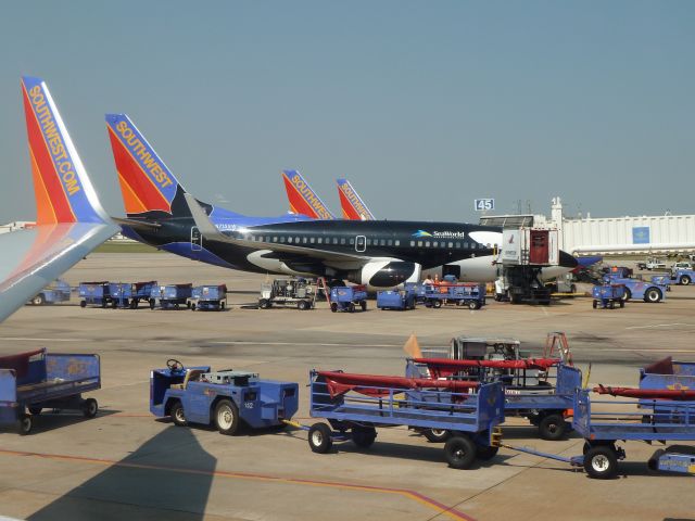 Boeing 737-700 (N7I5SW) - Shamu 1 in Houston