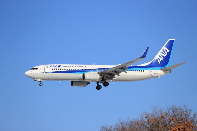 Boeing 737-800 (JA76AN) - December 20th 2020:ITM-HKD.