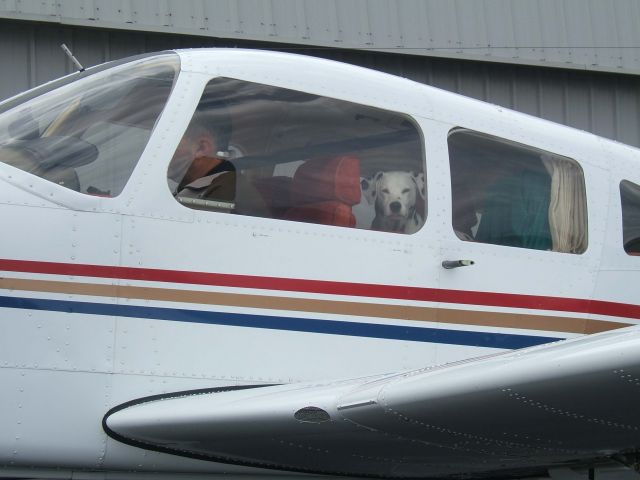 Piper Arrow 4 (N8117B) - Dottie  @  KGON