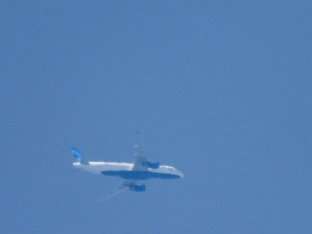 Airbus A320 (N641JB) - JBU56br /08/12/21