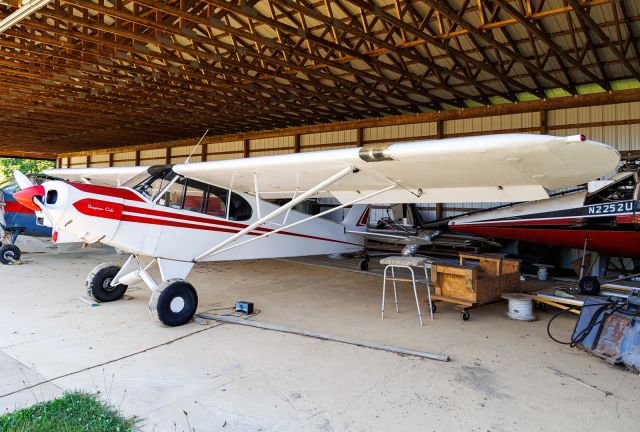 Piper L-21 Super Cub (N83534)