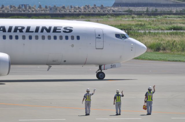 Boeing 737-800 (JA311J)