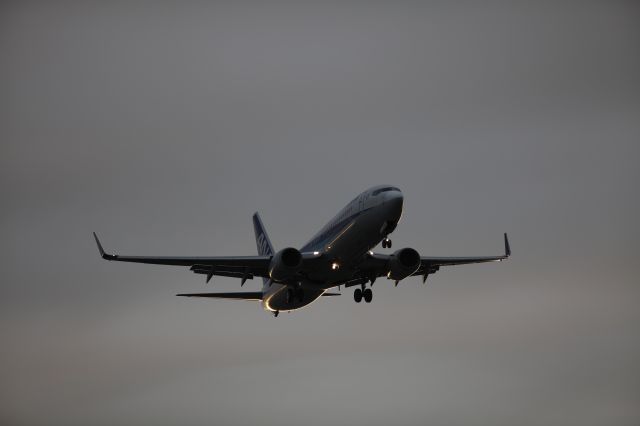 Boeing 737-800 (JA53AN) - 15 July 2015:HND-HKD.