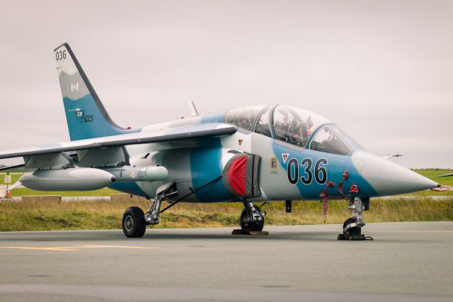 DASSAULT-BREGUET/DORNIER Alpha Jet (C-GUTO)