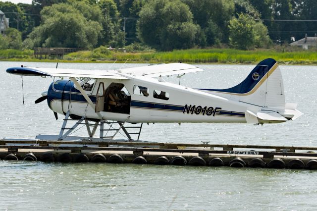 De Havilland Canada DHC-2 Mk1 Beaver (N1018F)