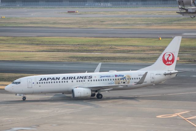 Boeing 737-700 (JA314J) - Disney Sea cs