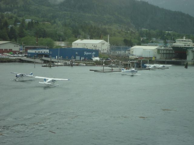 De Havilland Canada DHC-2 Mk1 Beaver (N37756) - A colony of beavers dancing around waiting for dock space at Ketchikan, AK.