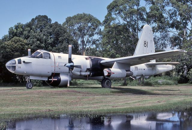 A89281 — - AUSTRALIA - AIR FORCE - LOCKHEED SP-2H NEPTUNE MR4 - REG A89-281 (CN 726-7281) - OFF AIRPORT CHEWING GUM FIELD AIR MUSEUM TALLEBUDGERA QUEENSLAND AUSTRALIA (10/3/1982)