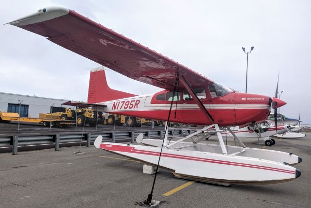 Cessna Skywagon (N1795R) - Small aircraft tie-down yard, Anchorage International Airport