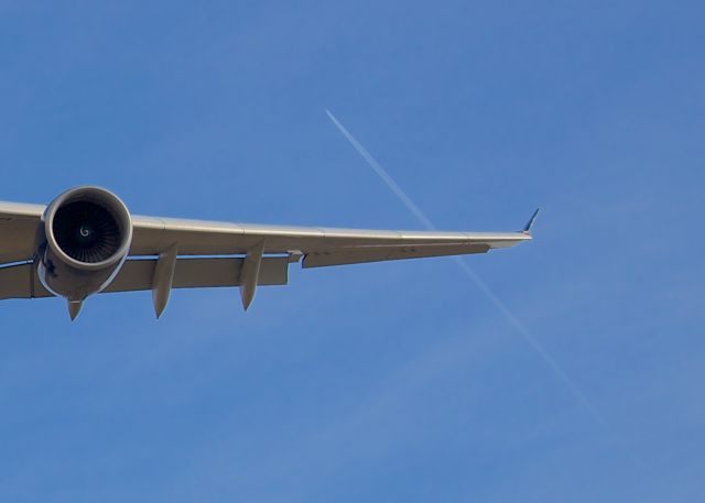 Airbus A330-300 — - The MSU Spartans return victorious from the 2015 Cotton Bowl.