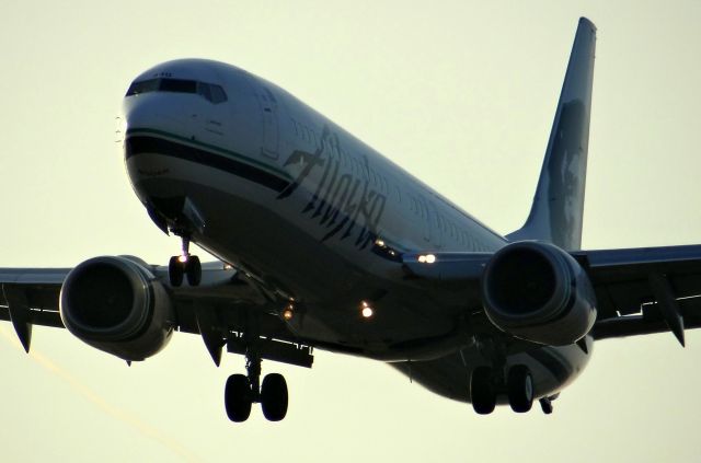 Boeing 737-900 (N440AS)