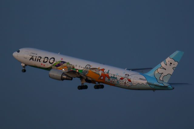 BOEING 767-300 (JA602A)