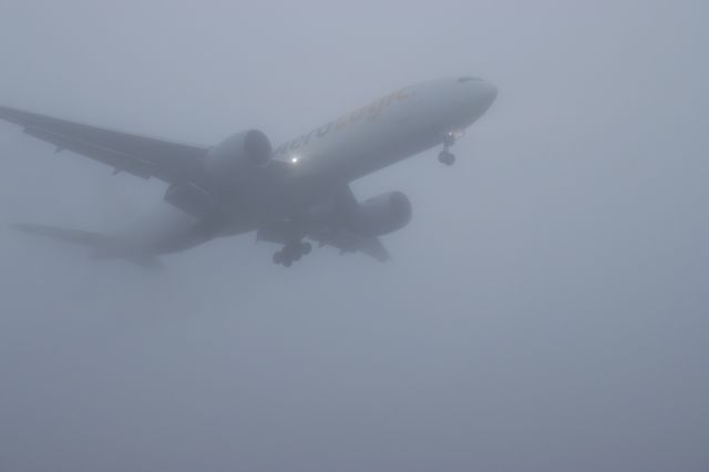 D-AALH — - Taken 26/12/24 at 15:57. This was the aircrafts second attempt to land. It did a 'go around' at 15:41, due to the heavy fog I suspect!