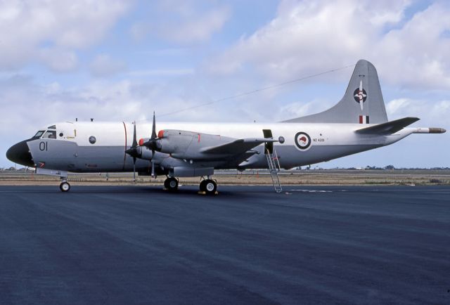 BOEING 747-8 (ANZ4201) - NEW ZEALAND - AIR FORCE LOCKHEED P3-B ORION REG NZ4201 (CN 185-5190) - EDINBURGH RAAF BASE ADELAIDE SA. AUSTRALIA - YPED (8/10/1981)