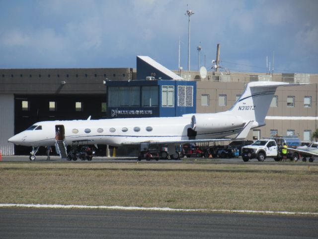 Gulfstream Aerospace Gulfstream V (N310TZ)