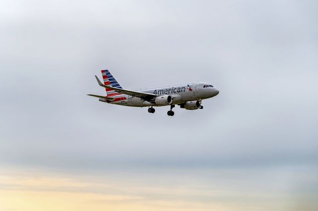 Airbus A319 (N8009T)