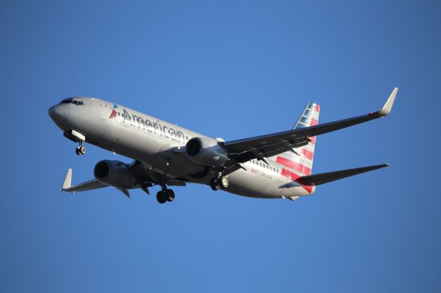 Boeing 737-800 (N833NN)