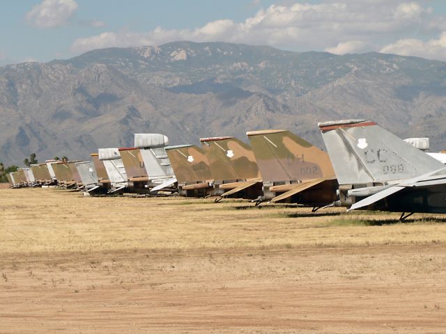 Grumman EF-111 Raven — - Just some of the Aardvarks stored with the 309th AMARG.