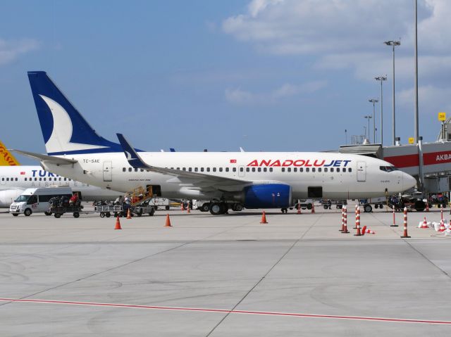 Boeing 737-800 (TC-SAE) - Sabiha Gökçen airport, Istanbul, Turkey | 15 SEP 2014.