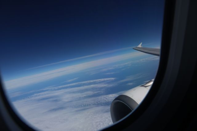 Airbus A310 — - Vol au dessus de l'atlantique