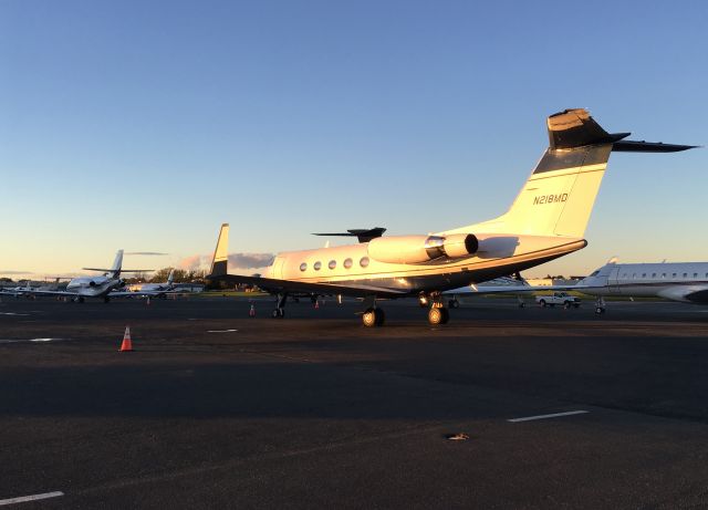 Gulfstream Aerospace Gulfstream 3 (N218MD)