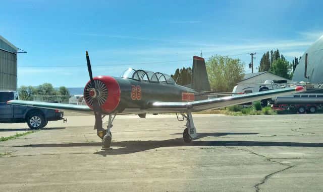 N66YK — - N66YK - ???? Nanchang Yak-18A
