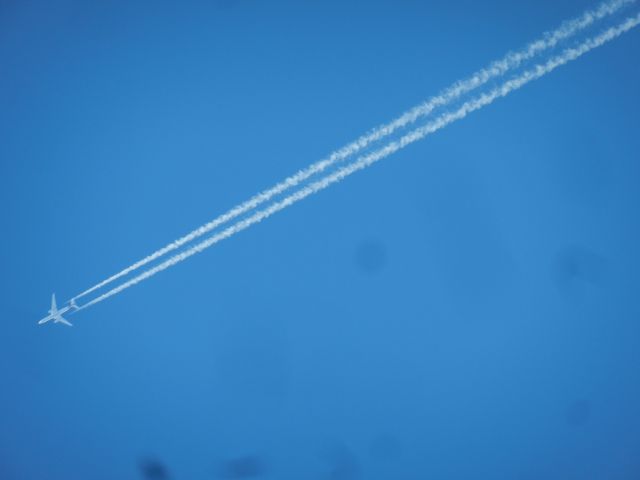 Airbus A330-300 (OO-SFJ) - This Brussels Airlines Airbus A330-300 Flies Straight Over My House En-Route To Fort Myers! The Brussels A330 Is Very Rare, Seeing It At The Typical Distance, Which Was What The Nearby UAL B763 Did Is One Thing, But Seeing An Aircraft Like THIS Fly COMPLETLY Overhead Takes It To A Whole New Level! A Weeks Ago I Missed A Brussels A340-300, An A340-300 In BRUSSELS LIVERY! I Was Very Saddened, However This Aircraft Plus Going OVERHEAD Makes Up For The A340-300! Note That This Aircraft Is Operating For Eurowings