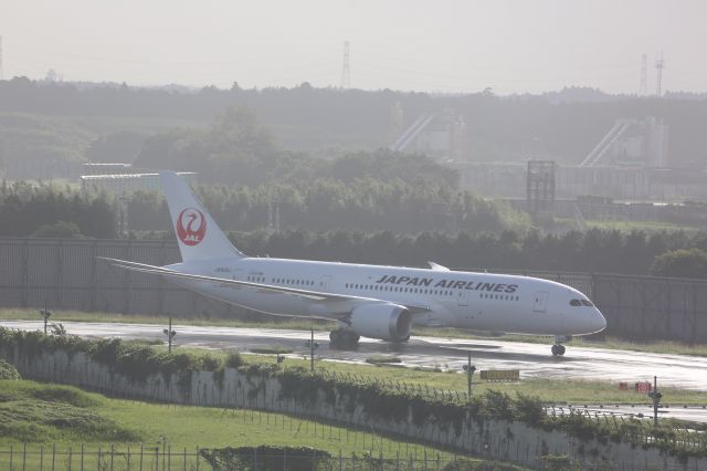 Boeing 787-8 (JA828J)