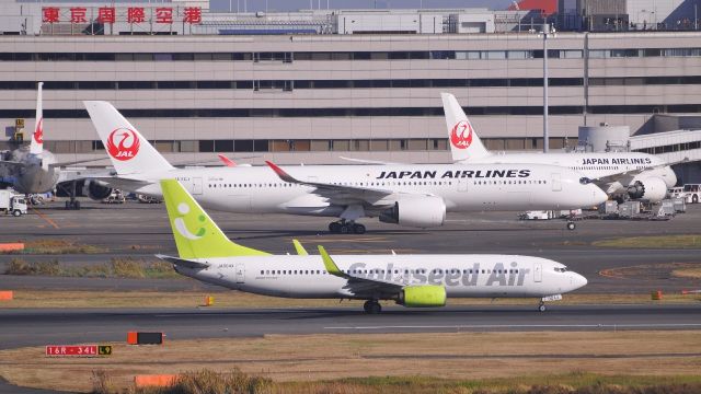 Boeing 737-800 (JA804X)